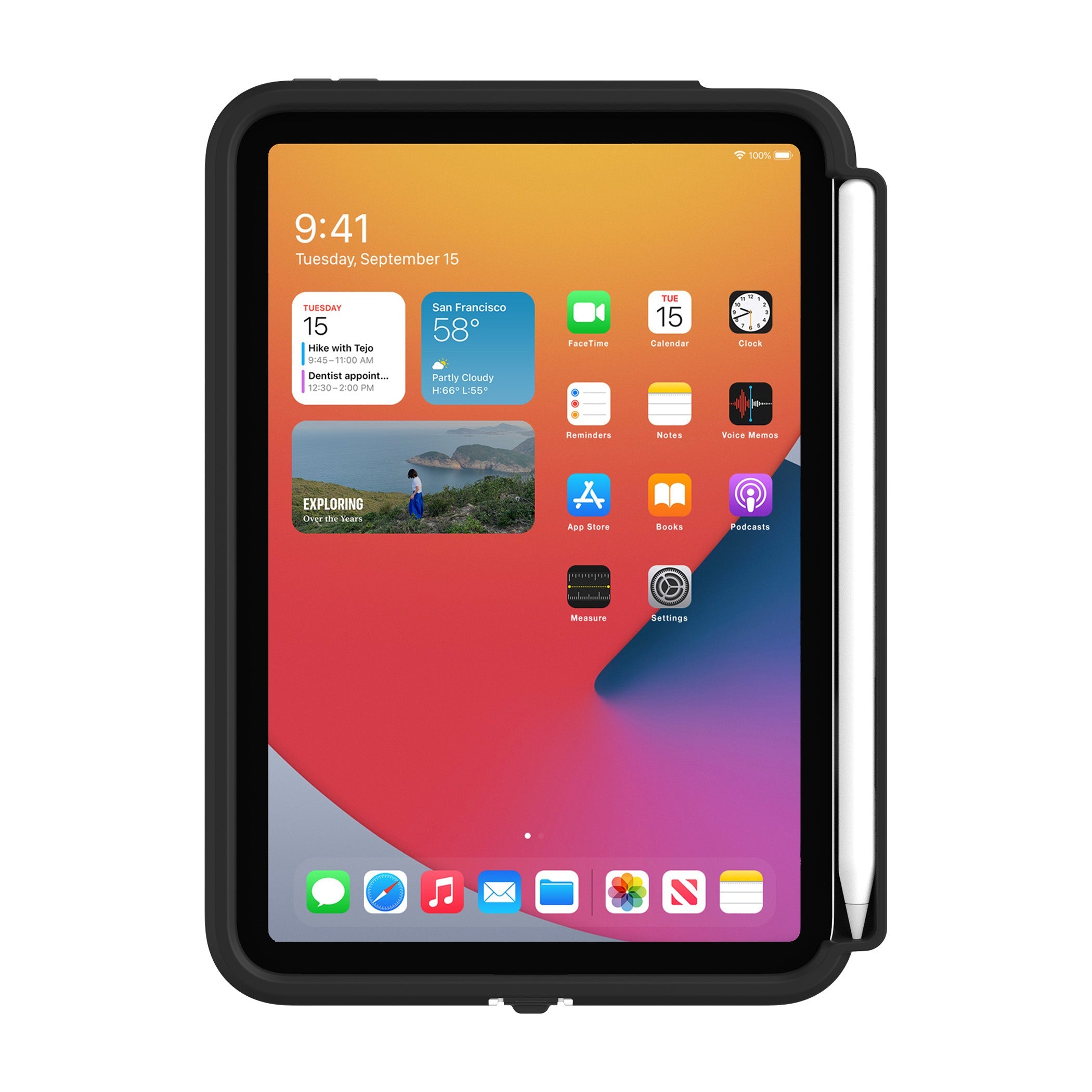 Black | Survivor Endurance for iPad mini 6th Generation - Black